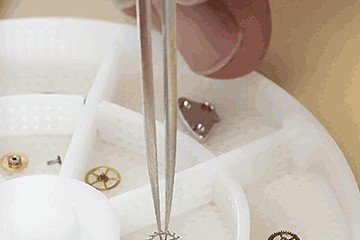 佛山江诗丹顿为什么倒着走